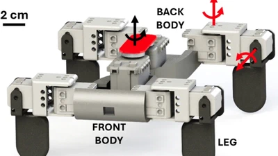 Salamander Robot featured image